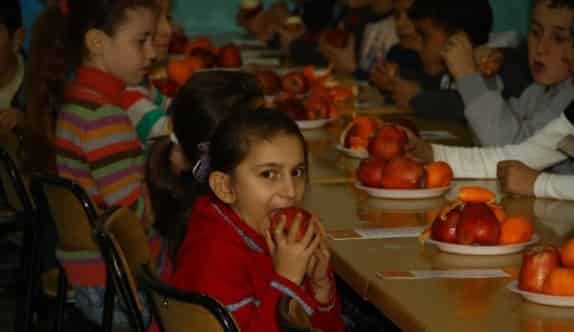 “Sağlıklı Meyve Tabağım” Etkinliği