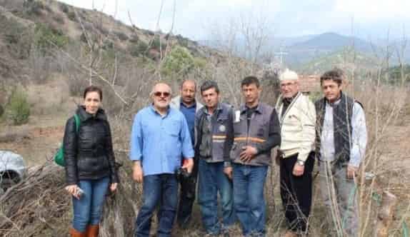 Sarıcakaya’da Menengiç Ağaçlarına Antep Fıstığı Aşısı