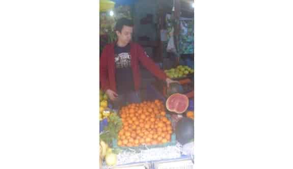 Şubat Ayında Karpuz Görücüye Çıktı