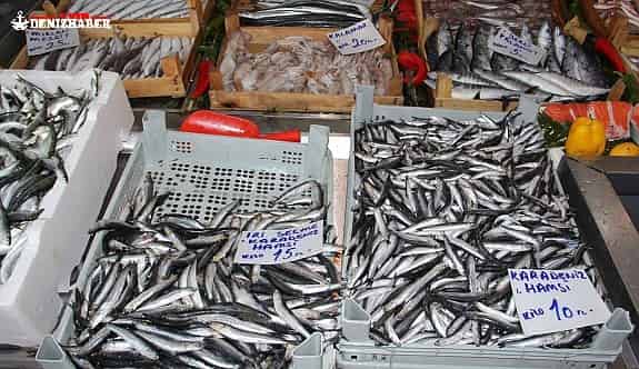Ucuz Balık Seneye Kaldı