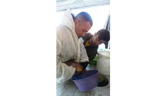 Van’da Su Ürünleri Tesisleri Denetlendi