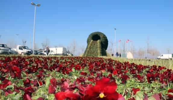 Yalova’ya Çiçek Şelalesi