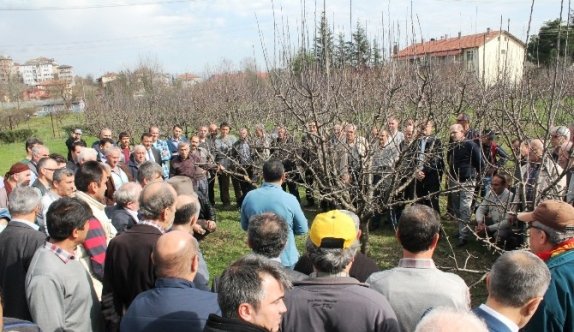 103 Çiftçiye Budama Eğitimi