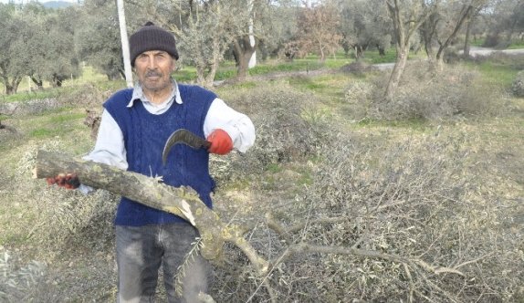 84 Yaşındaki Delikanlı