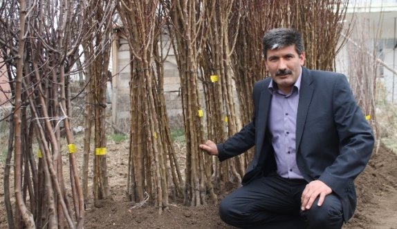 Akdağmadeni Ziraat Odasından ’Herkesin Bir Fidanı Olsun’ Kampanyası