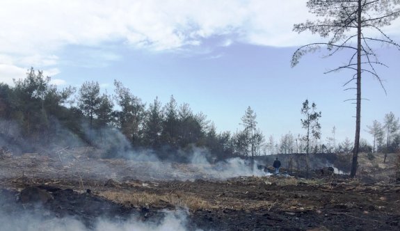 Amanoslarda 10 hektar kızılçam ormanı yandı