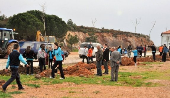 Ayvalık Belediyesi’nin Diktiği Çınarlar Küçükköy’ün Geleceği Olacak