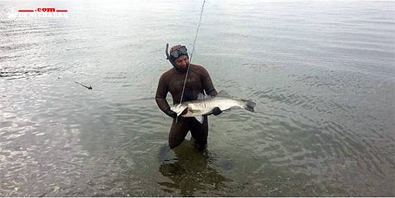 Bandırma’da 1 Metrelik Levrek Yakalandı