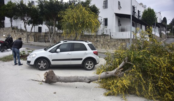 Bodrum'u lodos vurdu