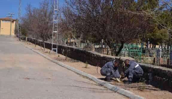 Bünyan Belediyesi’nden Peyzaj Ve Yeşillendirme Çalışması