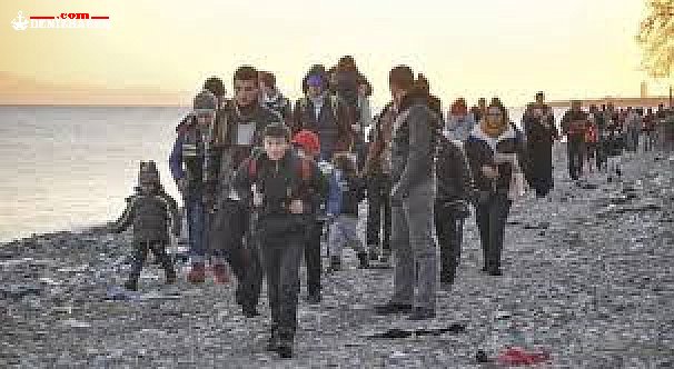 Çanakkale'de 100 kaçak yakalandı