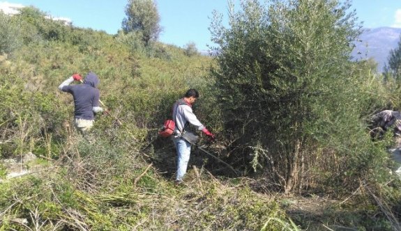 Demre’de 200 Yıllık Mezarlık Gün Yüzüne Çıkartıldı