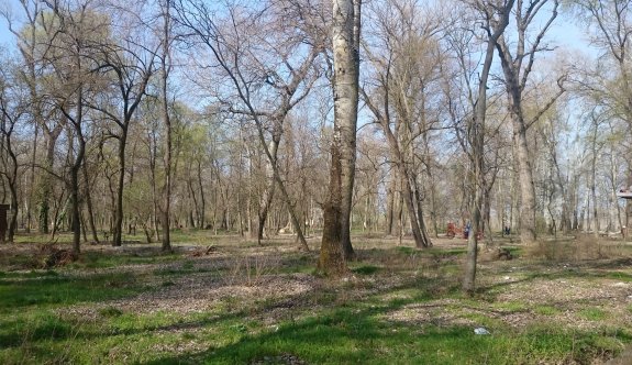 Edirne Belediyesi Kent Ormanı'na kavuştu