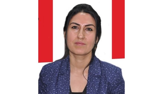 Eş başkanlar ve 52 kişi hakkında müebbet hapis istemi