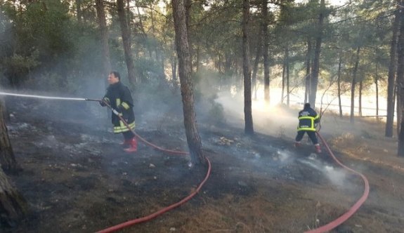 Faciaya Ramak Kaldı