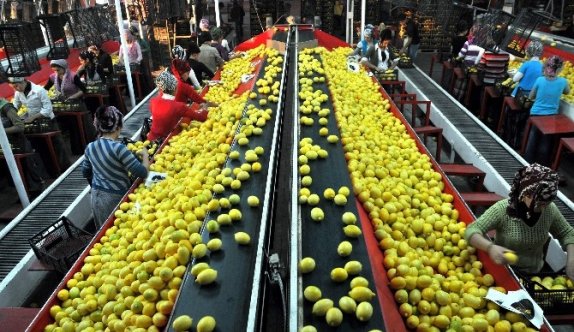 Gıda İhracatçıları Tanıtım Atağını Sürdürüyor