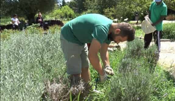 Gönüllü Bahçıvanlığa İlgi Giderek Artıyor