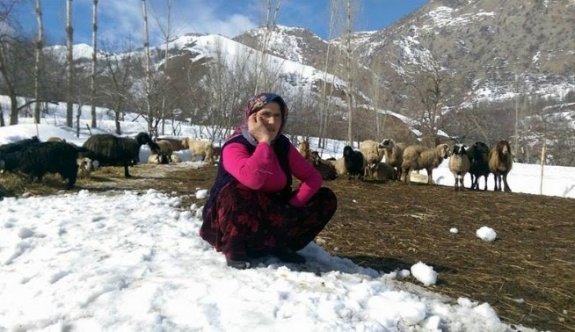 Hakkari’de Yağışlar Çiftçilerin Yüzünü Güldürdü