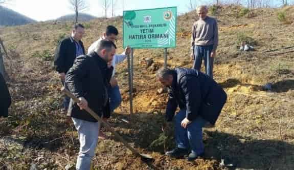 İHH’dan Fatsa’ya ‘Yetim Hatıra Ormanı’