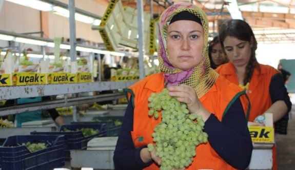 İhracat Rekortmeninden Üzümcülere Uyarı