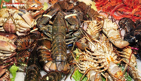 Kaçak su ürünleri avcılarına denetim