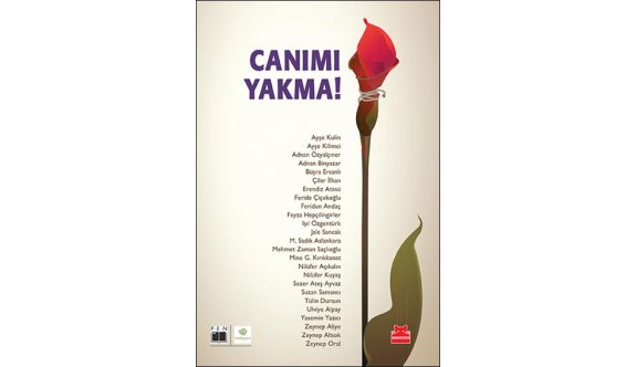 Kadına şiddetin öyküsünü yazdılar