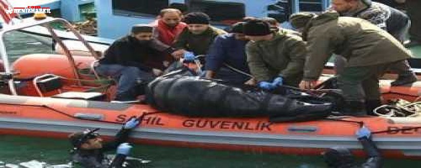 Kayıp balıkçının cesedi menfezde bulundu