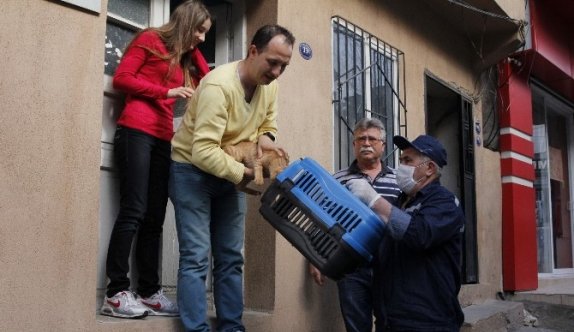 Konak’ta Sevimli Sokak Dostları Güvende