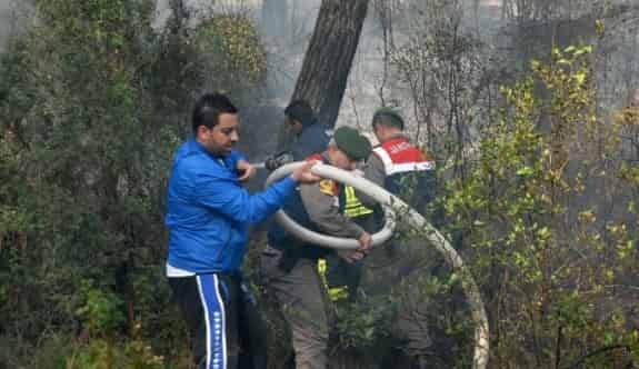 Köyceğiz’de Orman Yangını