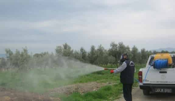 Manisa’da Haşere İle Mücadele Sürüyor