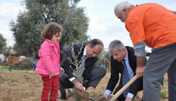 Nazilli’de Hakim Ve Savcılardan Fidan Dikme Etkinliği