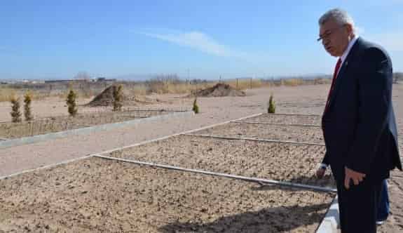 Nevşehir’in İlk Lale Bahçesi Gülşehir’de Yapıldı