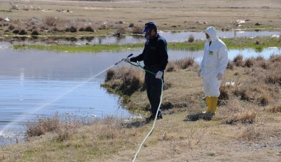 Niğde Belediyesi Sinekle Mücadeleye Başladı