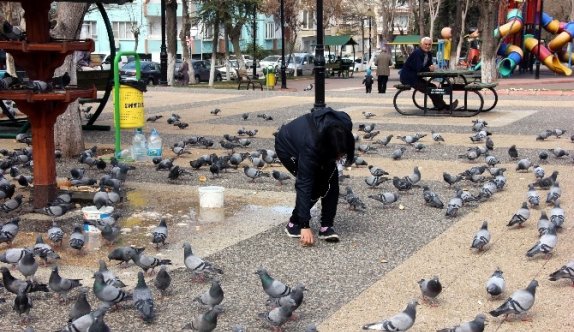 Parkta Güvercin Besleyerek Stres Atıyorlar