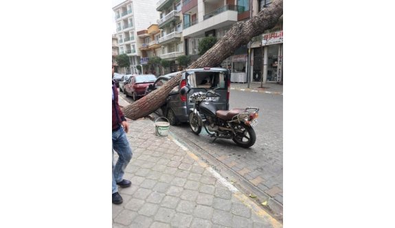 Salihli’yi Kuvvetli Lodos Vurdu