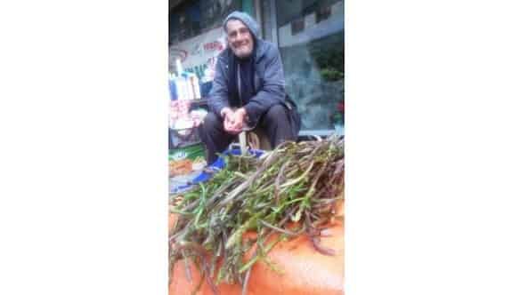 Sarmaşık Ödemiş Pazarında Boy Gösterdi