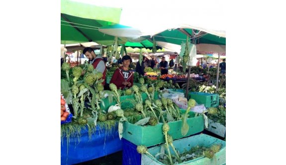 Şimdi Enginar Zamanı