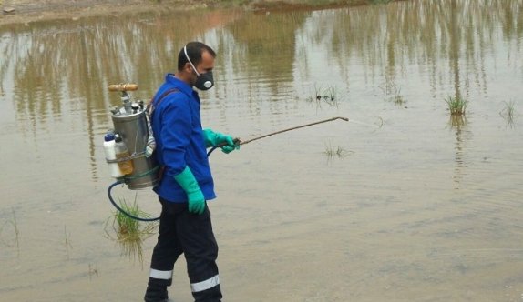 Sivrisinek Ve Haşerelere Karşı 12 Ay Mücadele