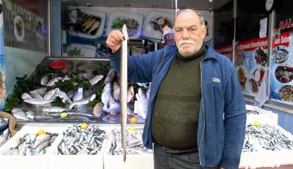 Soğuk Havalar Balık Fiyatlarını Arttırdı