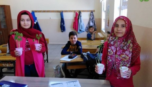 Tatlı Söz Fasulyeyi Daha Çok Geliştirdi