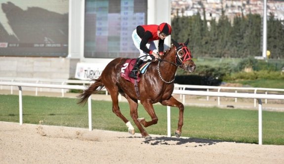Tsyd İzmir Koşusu’nu “İlkaan” Kazandı