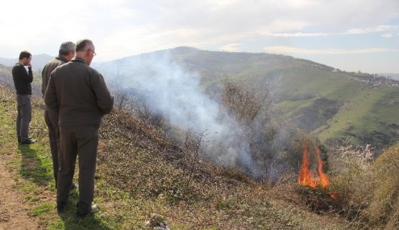 Yangın, Ormanlık Alana Sıçramadan Söndürüldü