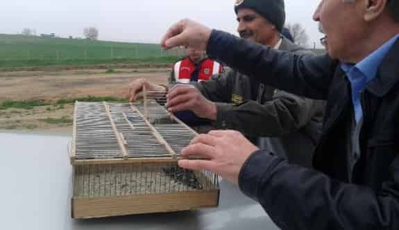 Yasak Avcılığa Jandarma Engeli