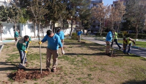 Yemyeşil Bir Haliliye İçin Ağaçlandırma Çalışması Başlatıldı