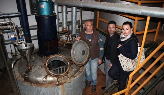 Zeytinyağlı Kedi Ve Köpek Şampuanı Ürettiler