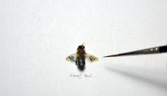 Aylan bebek, deniz kabuğuna resmedildi