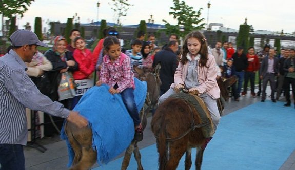 Çocuklar Eşeğe Ters Binerek Yarıştı