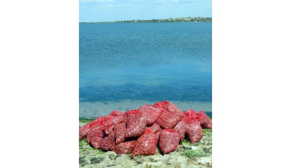 Kaçak midye dolu tekneye operasyon