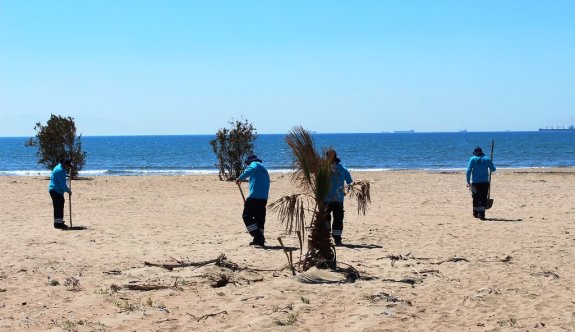 Hatay'da deniz ve sahil temizlik çalışmaları başladı