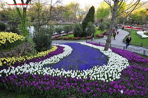 İstanbul&#039;da lale zamanı
